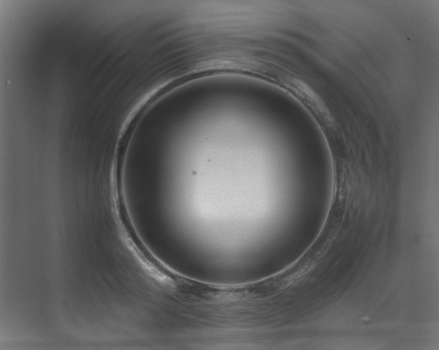 X0000074290796200608251343