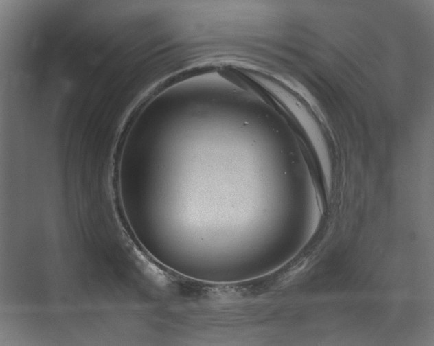 X0000074290799200608251343