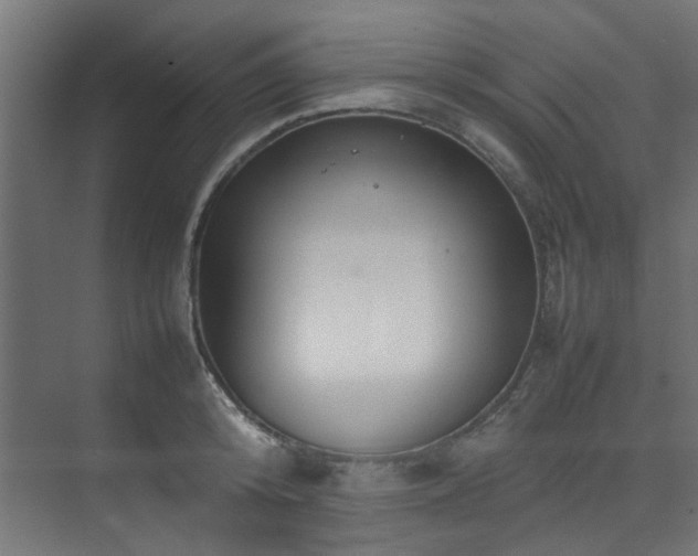 X0000074290800200608251343