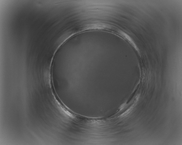 X0000074290802200608251343