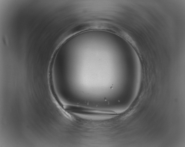 X0000074290803200608251343