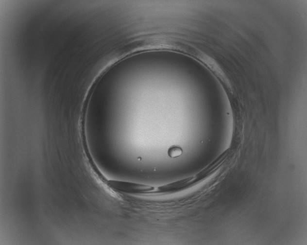 X0000074290805200608251343