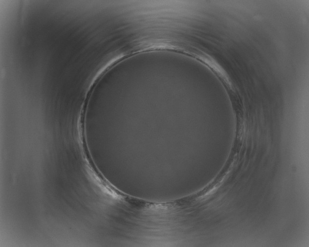 X0000074290806200608251343