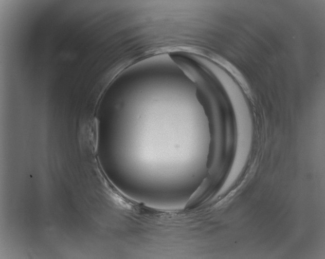 X0000074290809200608251343