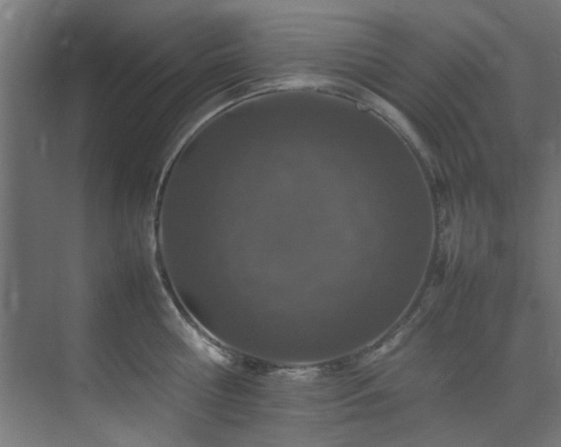 X0000074290810200608251343