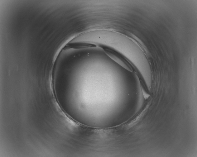 X0000074290812200608251343