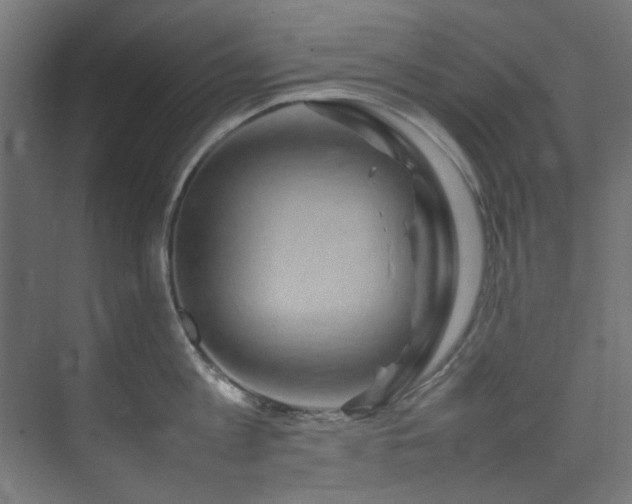 X0000074290813200608251343