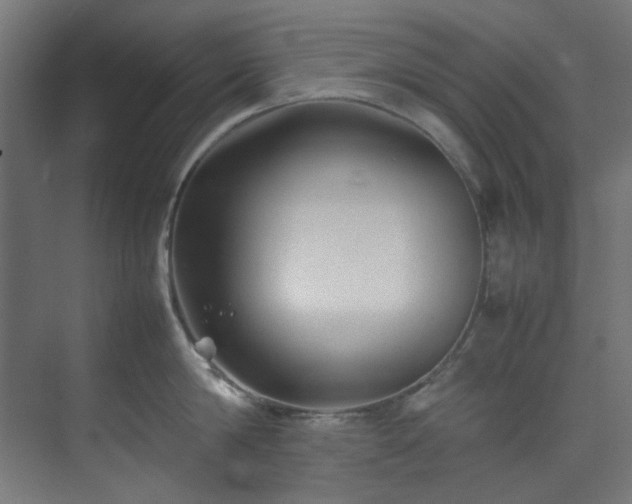 X0000074290814200608251342