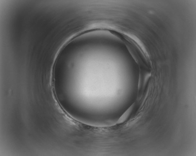 X0000074290815200608251342