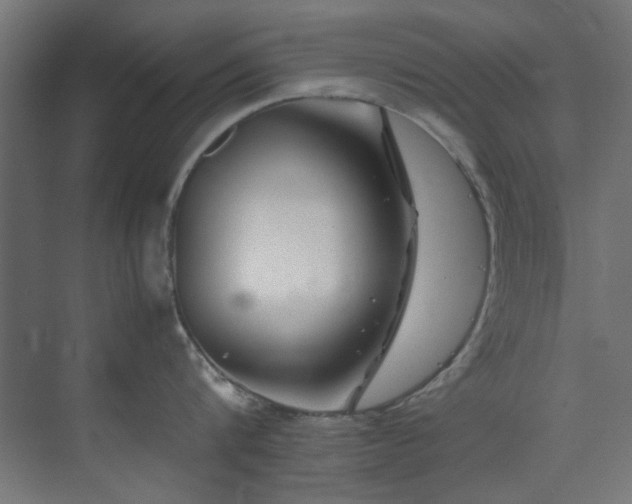 X0000074290816200608251342