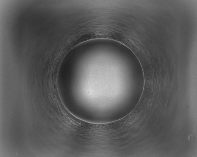 X0000074290817200608251342