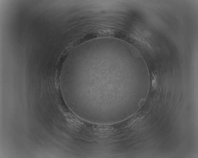 X0000074290819200608251342