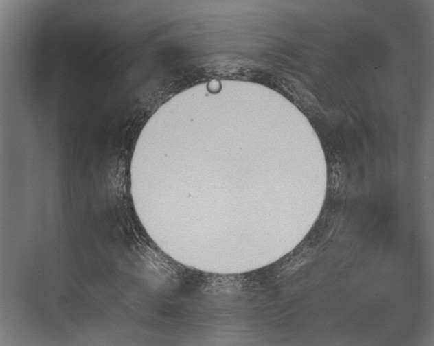 X0000074290820200608251342