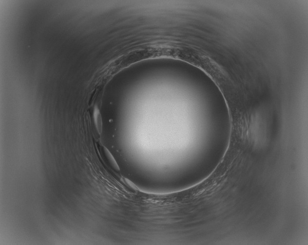 X0000074290821200608251342