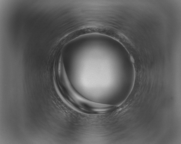 X0000074290822200608251342