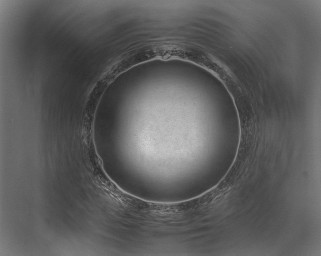 X0000074290823200608251342