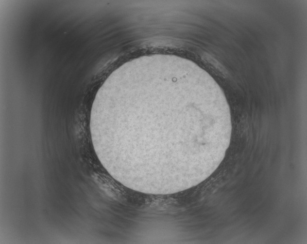 X0000074290824200608251342