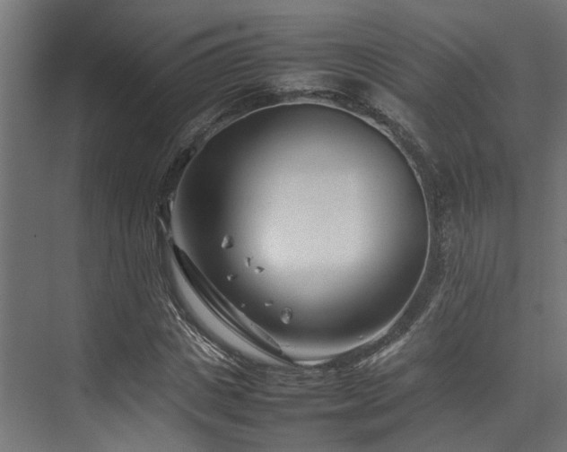 X0000074290825200608251342