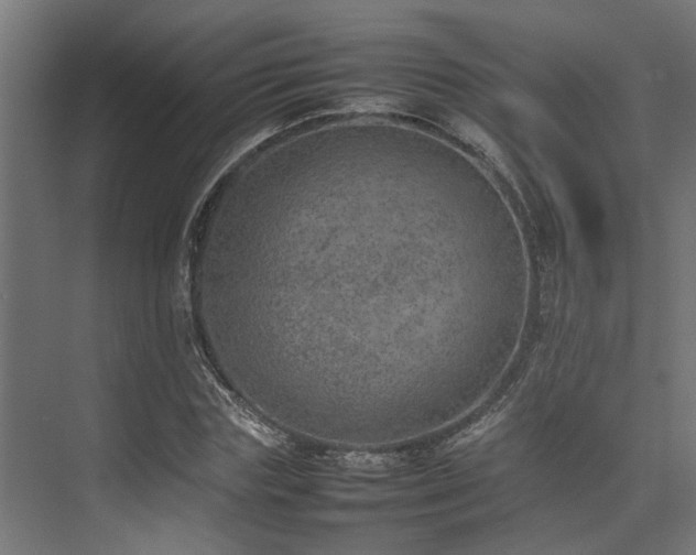 X0000074290827200608251342