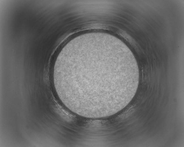 X0000074290828200608251342