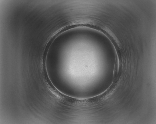 X0000074290834200608251342