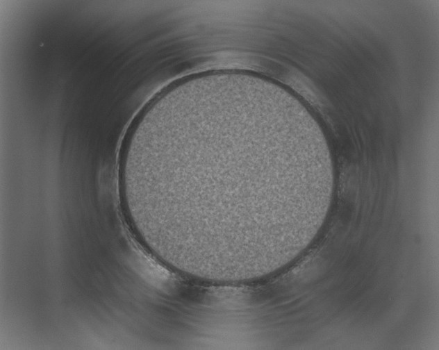 X0000074290836200608251342