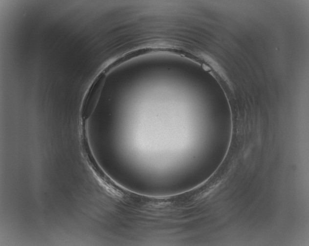 X0000074290837200608251342