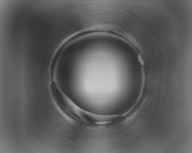 X0000074290838200608251342