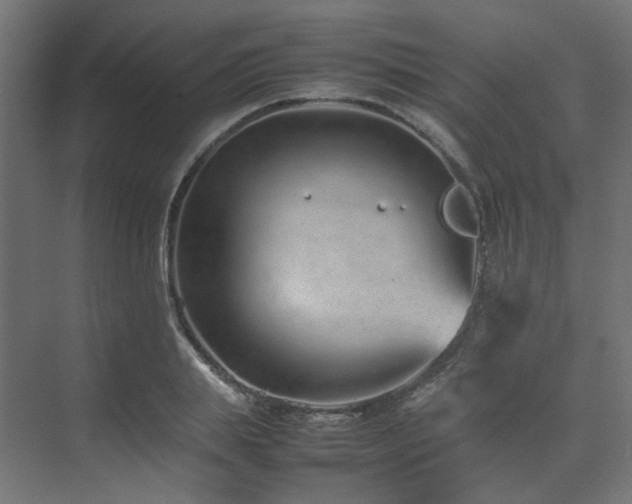 X0000074290839200608251342