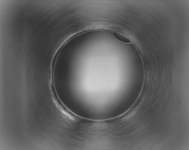 X0000074290844200608251342