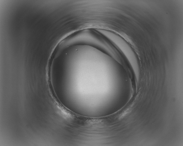 X0000074290846200608251342