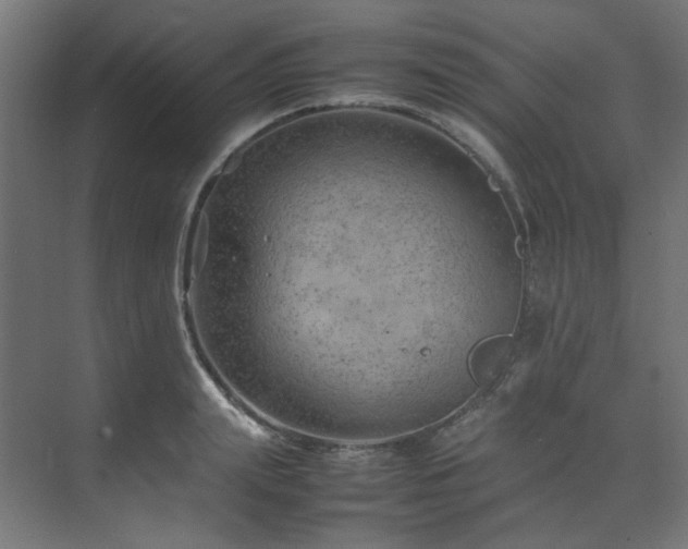 X0000074290847200608251342