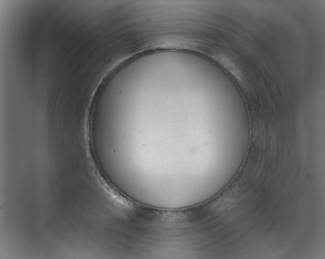 X0000074290848200608251342