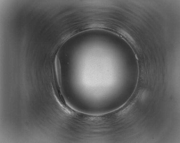 X0000074290849200608251342