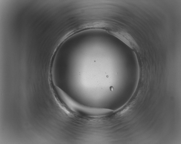 X0000074290850200608251342