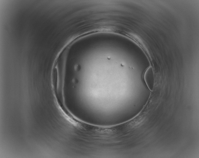 X0000074290851200608251342