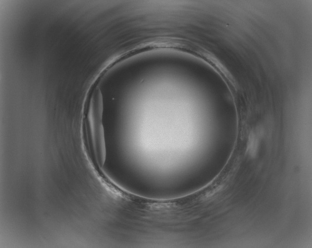 X0000074290853200608251342