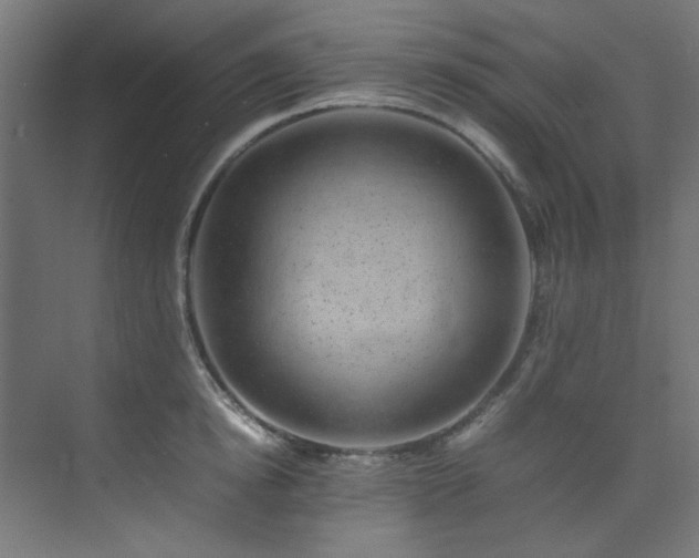 X0000074290854200608251342