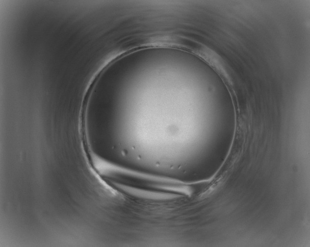 X0000074290855200608251342