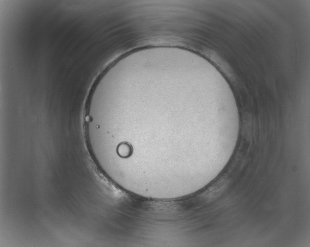 X0000074290856200608251342