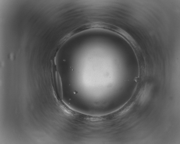 X0000074290857200608251342