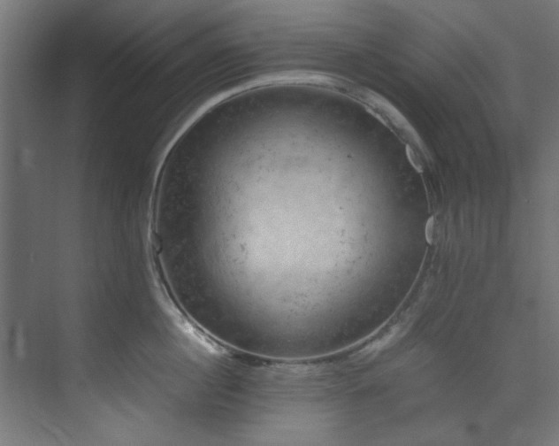 X0000074290860200608251342