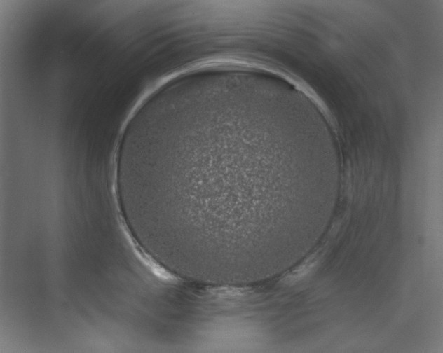 X0000074290862200608251342