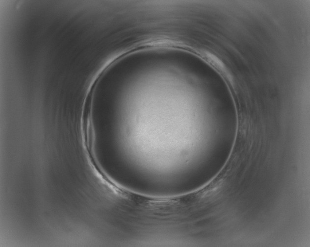 X0000074290863200608251342