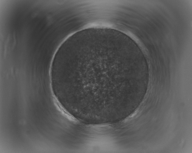 X0000074290864200608251342