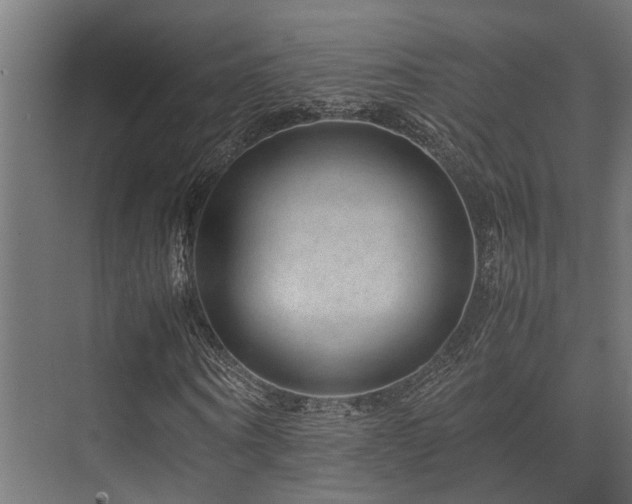 X0000074290866200608251342