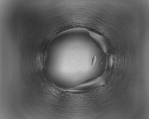 X0000074290868200608251342