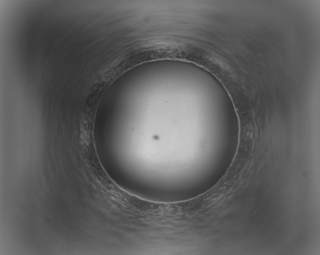 X0000074290869200608251342