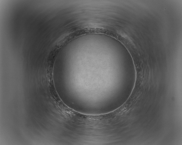 X0000074290870200608251342