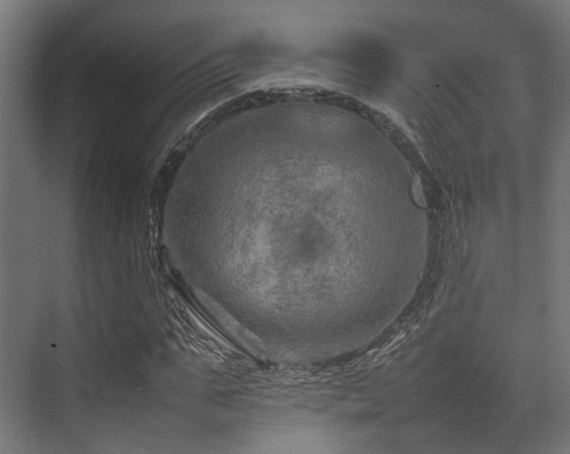 X0000074290871200608251342